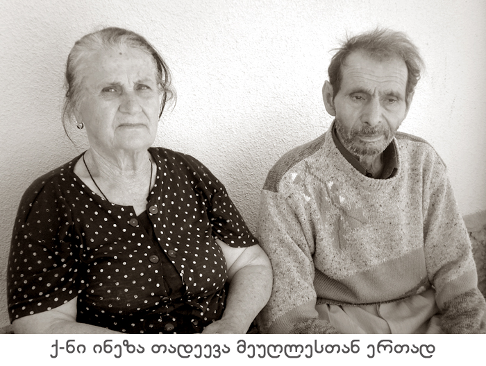 ვერხვების დასახლება KARIBCHE